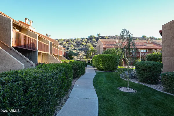 a view of a back yard of the house