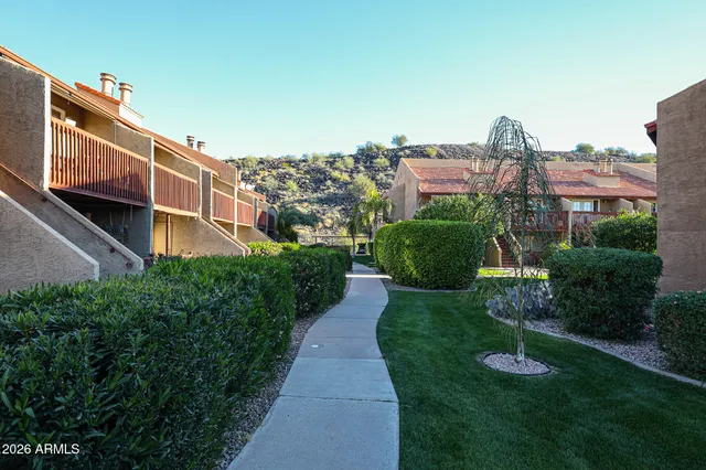a view of a back yard of the house