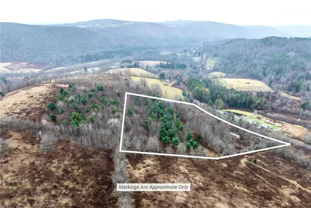 $109,000 | 368 Swart Hollow Road, Franklin, NY 13820