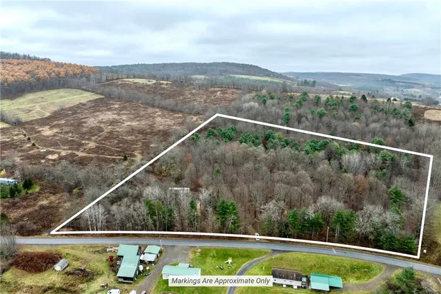 $109,000 | 368 Swart Hollow Road, Franklin, NY 13820