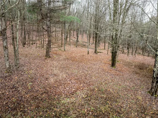 $109,000 | 368 Swart Hollow Road, Franklin, NY 13820