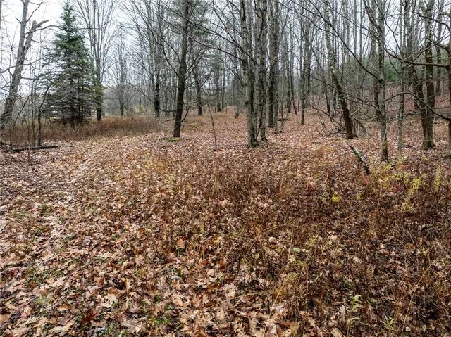 $109,000 | 368 Swart Hollow Road, Franklin, NY 13820