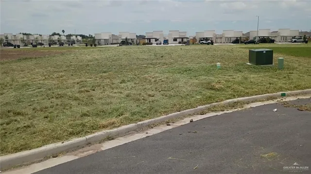 a view of a lake from a yard
