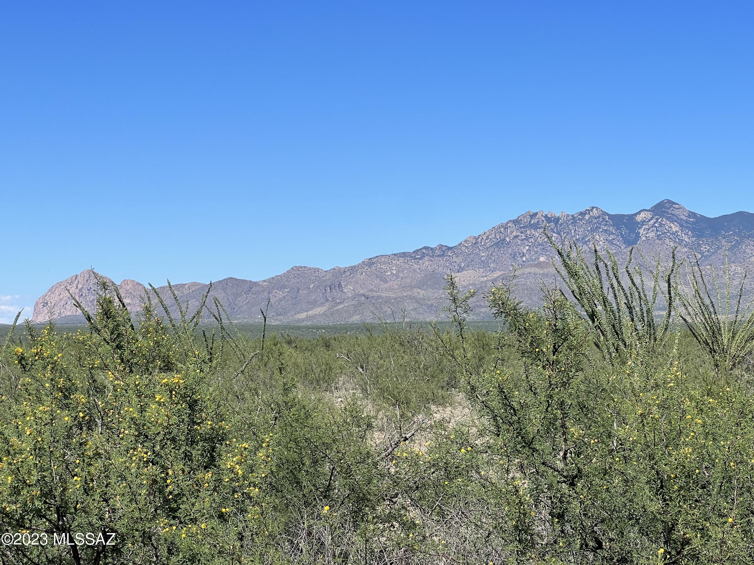 Tbd Camino Nacozari, Unit 71 Rio Rico, AZ 85648 - Photo 5 of 19 Panoramic Views