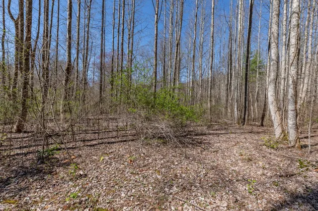 $47,500 | 12 Tusquittee Crossing, Hayesville, NC 28904