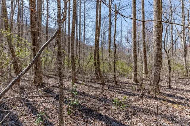 $47,500 | 12 Tusquittee Crossing, Hayesville, NC 28904