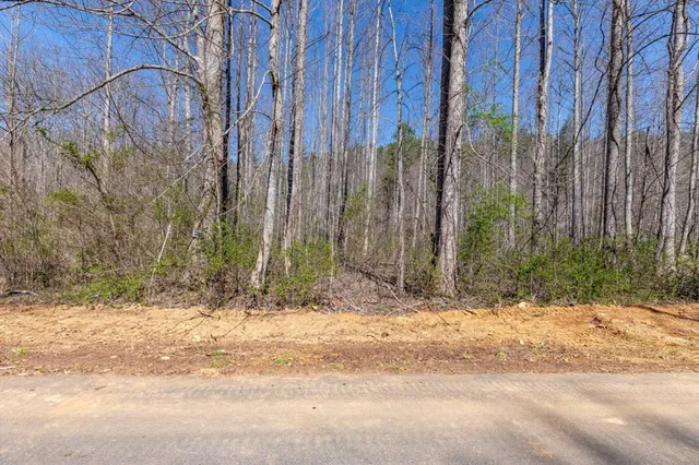 $47,500 | 12 Tusquittee Crossing, Hayesville, NC 28904