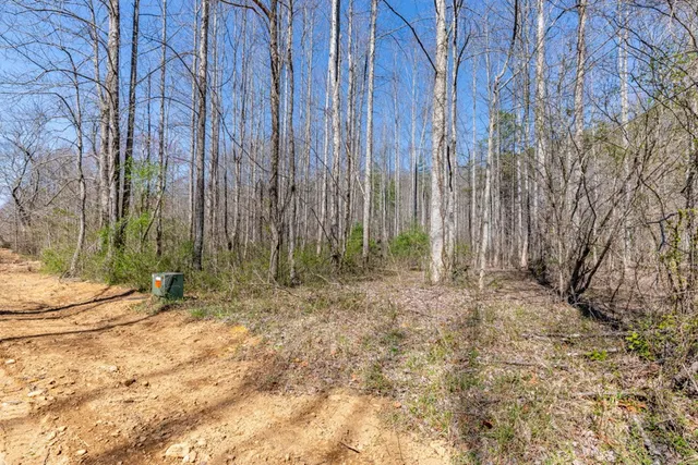 $47,500 | 12 Tusquittee Crossing, Hayesville, NC 28904