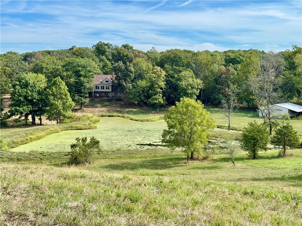 8008 Blackberry Way Decatur, AR 72722 - Photo 10 of 43 Gallery Image 10