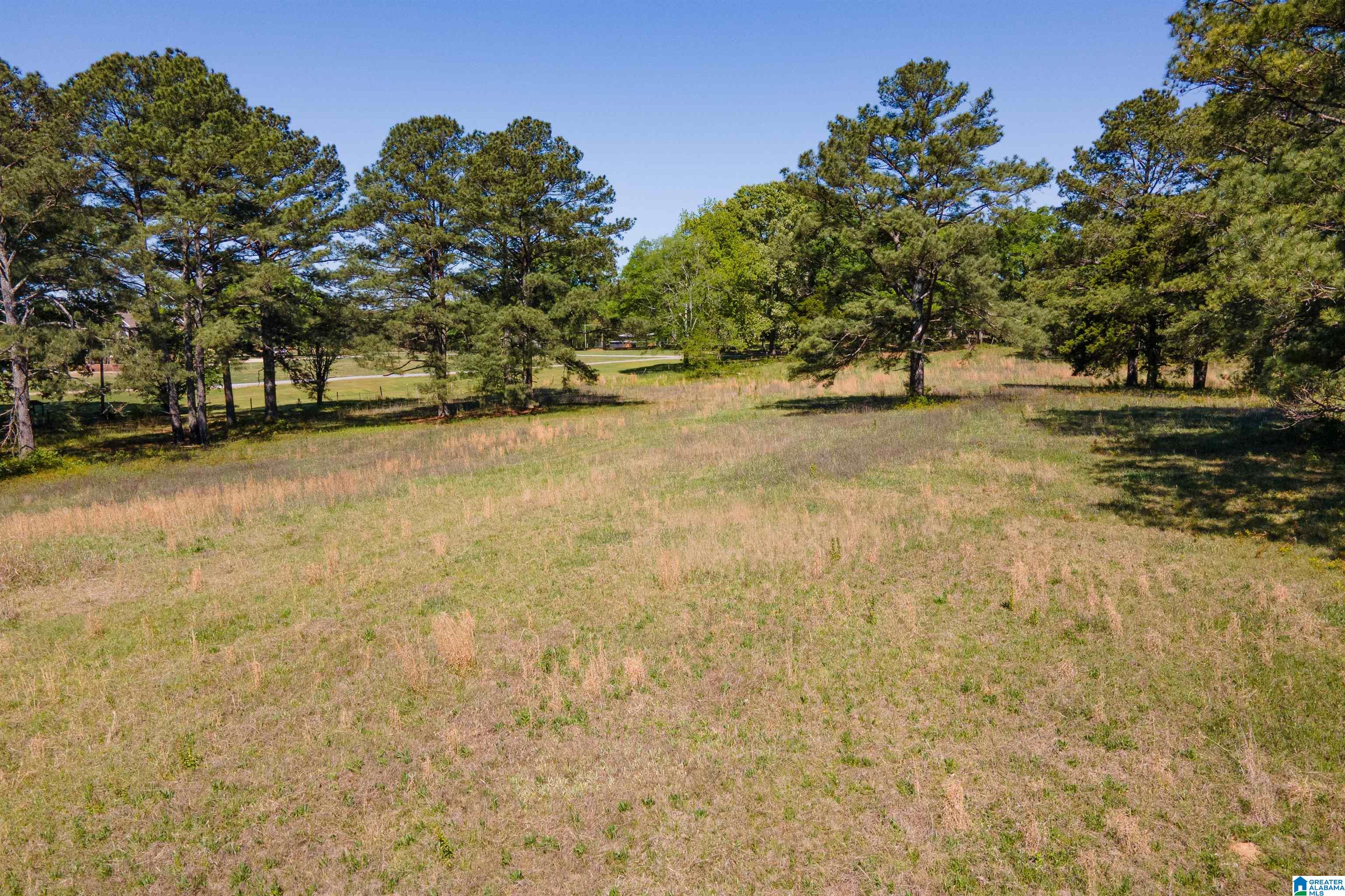 0 Sun Valley Road Harpersville, AL 35078 - Photo 24 of 24