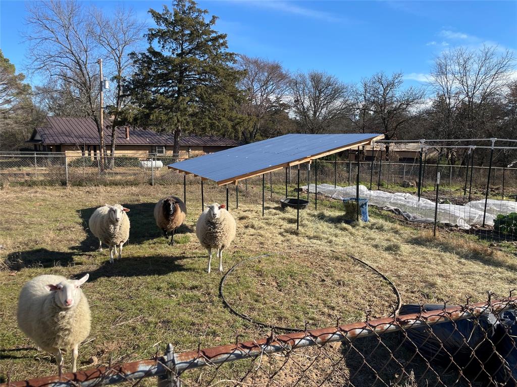 1846 Richerson Road Denison, TX 75021 - Photo 3 of 23 Pasture/Pen