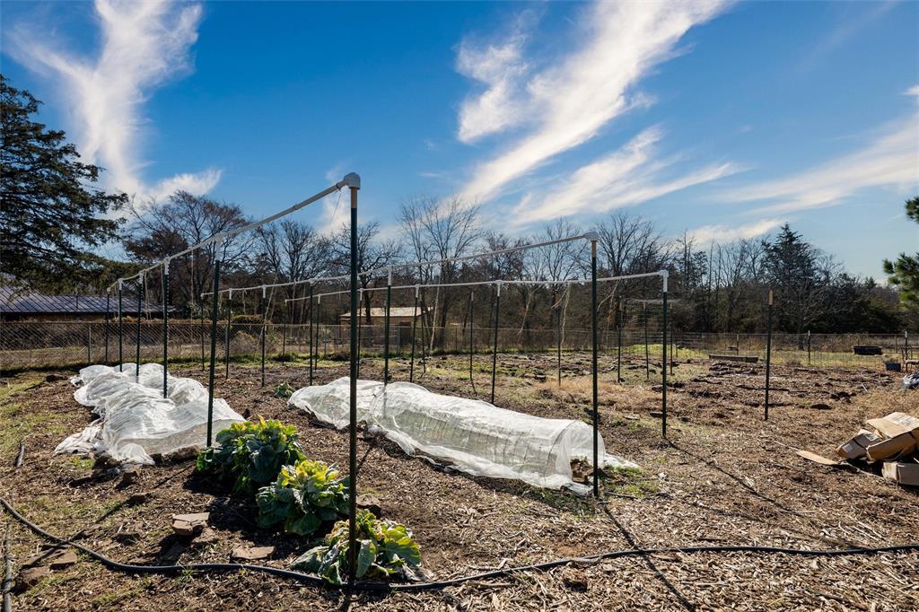 1846 Richerson Road Denison, TX 75021 - Photo 5 of 23 Organic Garden with Well water irrigation