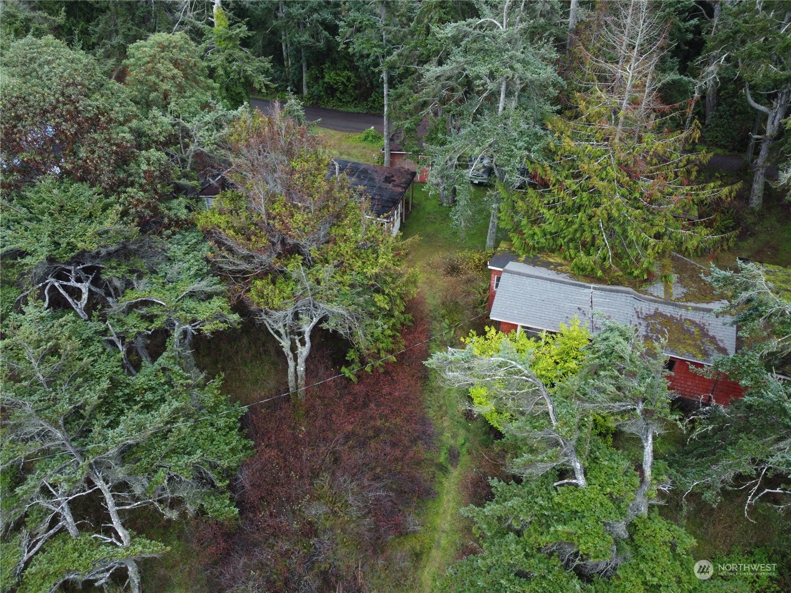 2372 Place Road Port Angeles, WA 98363 - Photo 3 of 29 Gallery Image 3