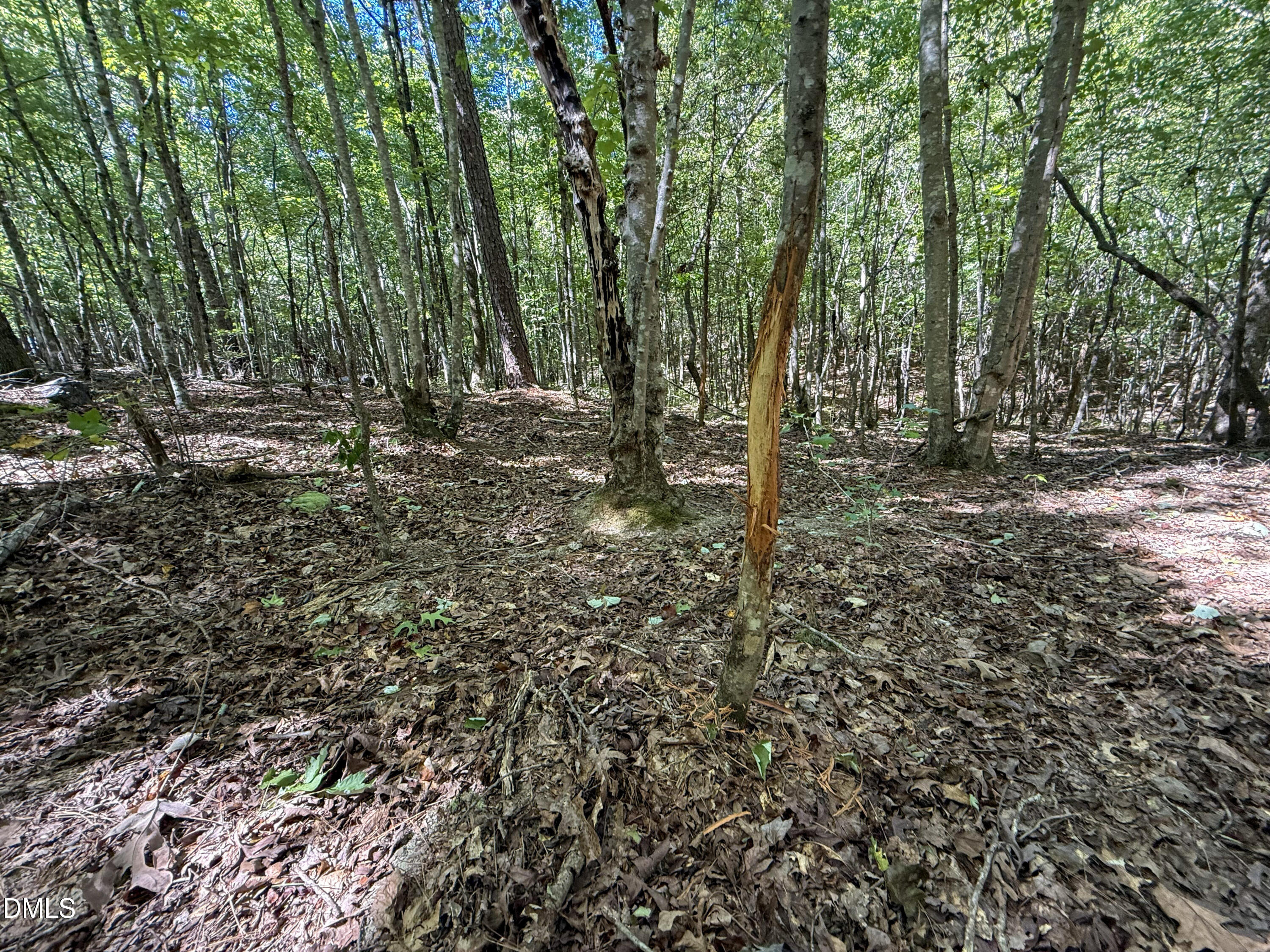 0 Ralph Moore Road Bear Creek, NC 27207 - Photo 5 of 13 Deal Chatham Ralph Moore Rd (4)