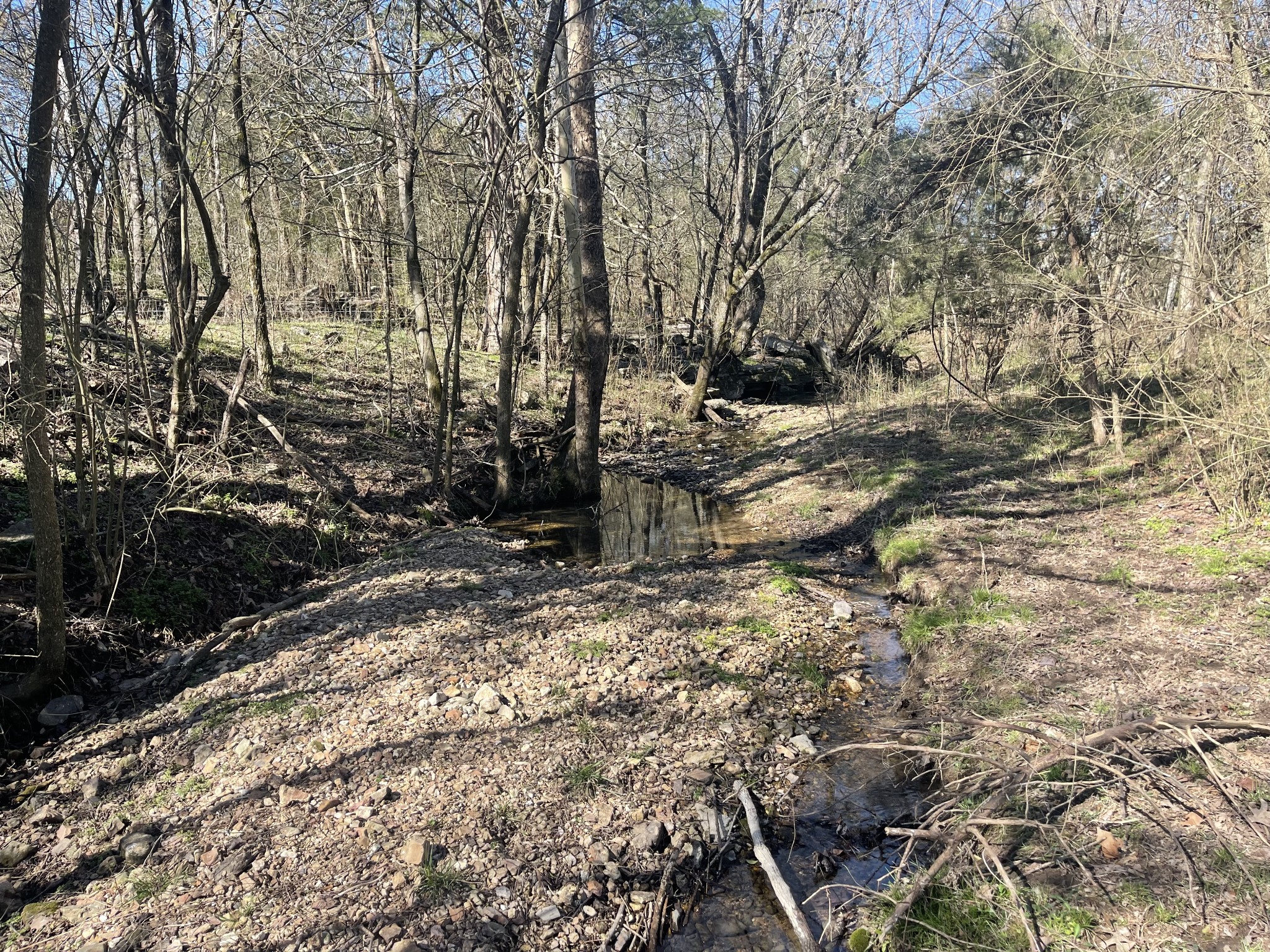2520 Brown Shop Road Petersburg, TN 37144 - Photo 11 of 30 a view of a yard with plants and trees