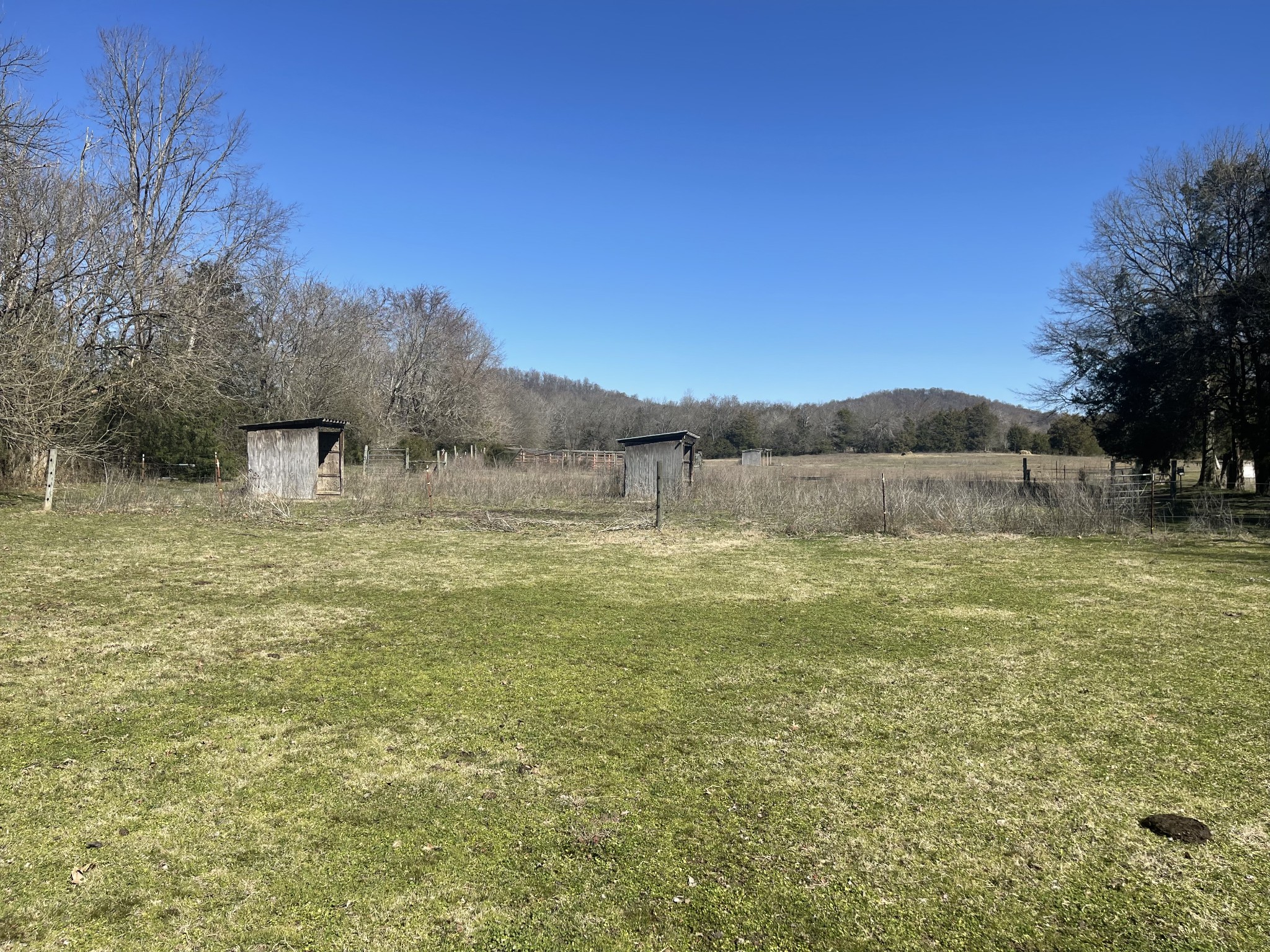 2520 Brown Shop Road Petersburg, TN 37144 - Photo 12 of 30 a view of a lake with a yard