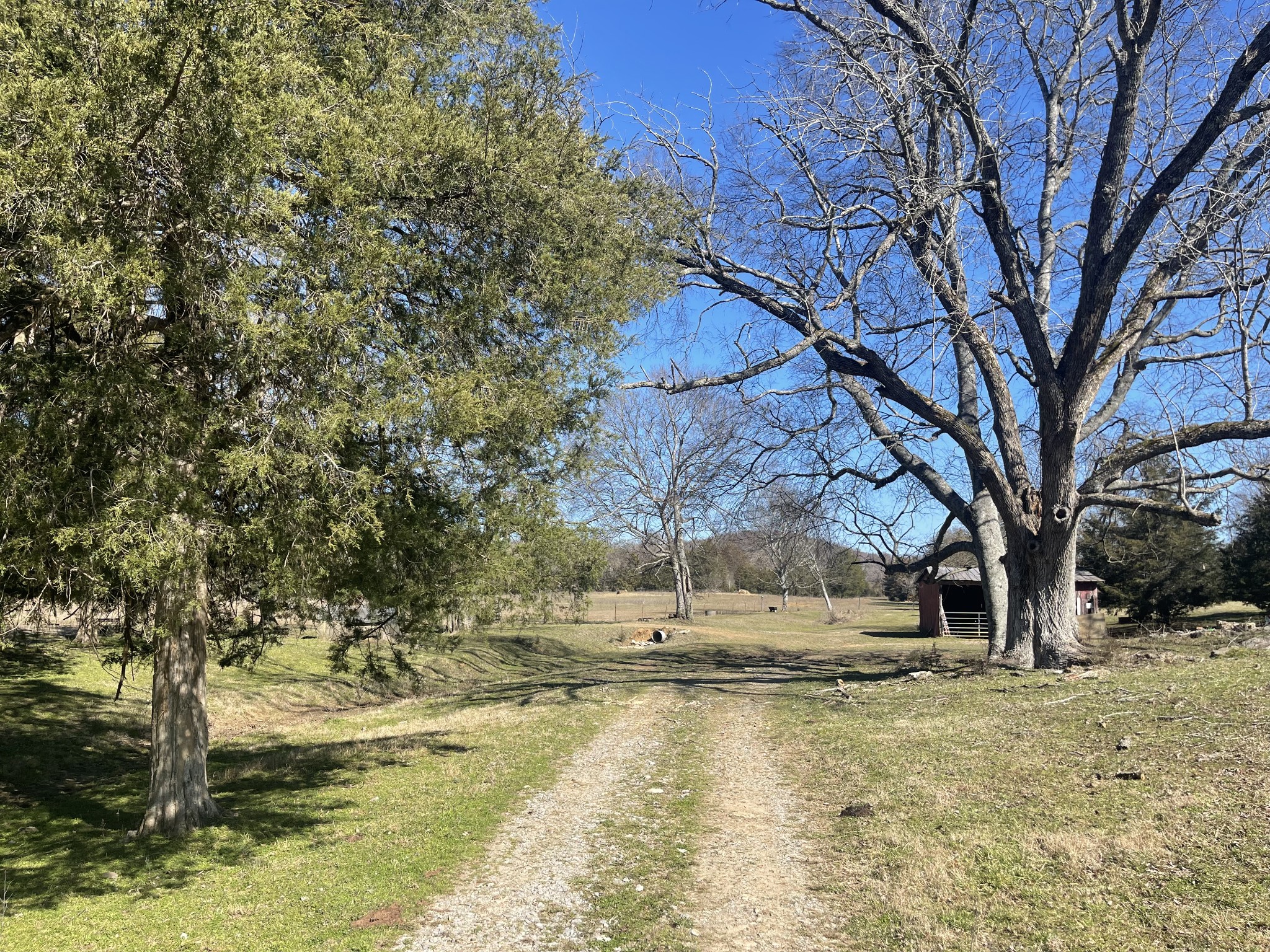 2520 Brown Shop Road Petersburg, TN 37144 - Photo 14 of 30 a view of a yard with a tree
