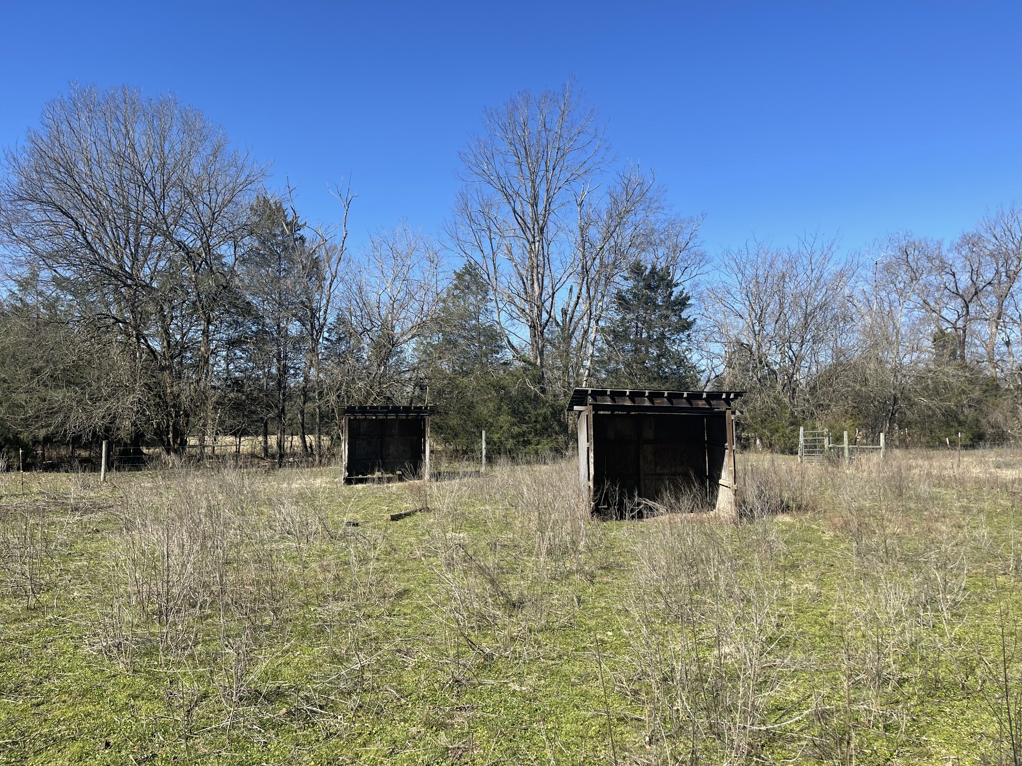 2520 Brown Shop Road Petersburg, TN 37144 - Photo 15 of 30 a view of a garden