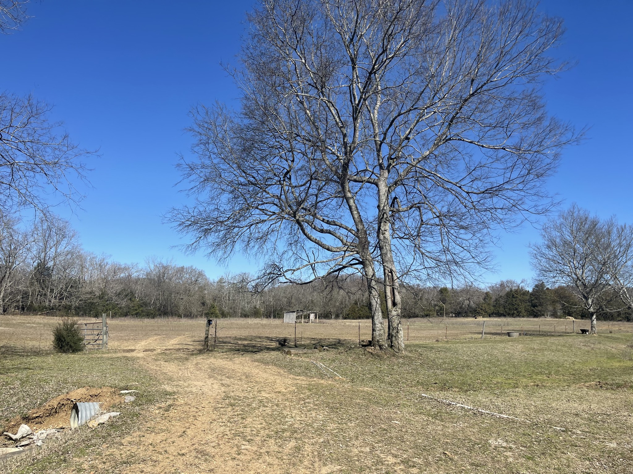 2520 Brown Shop Road Petersburg, TN 37144 - Photo 16 of 30 a view of dirt yard