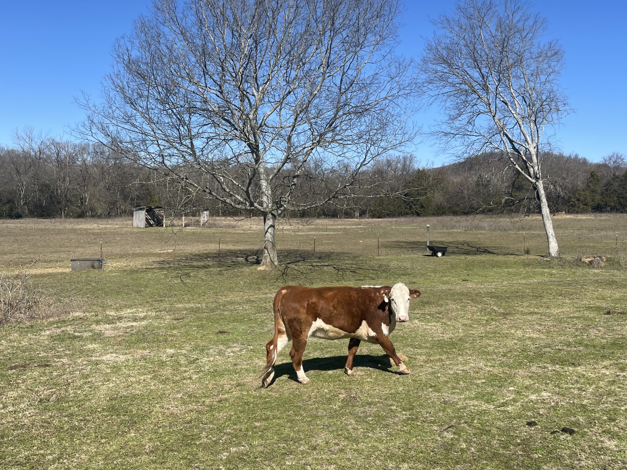 2520 Brown Shop Road Petersburg, TN 37144 - Photo 18 of 30 a view of a outdoor space