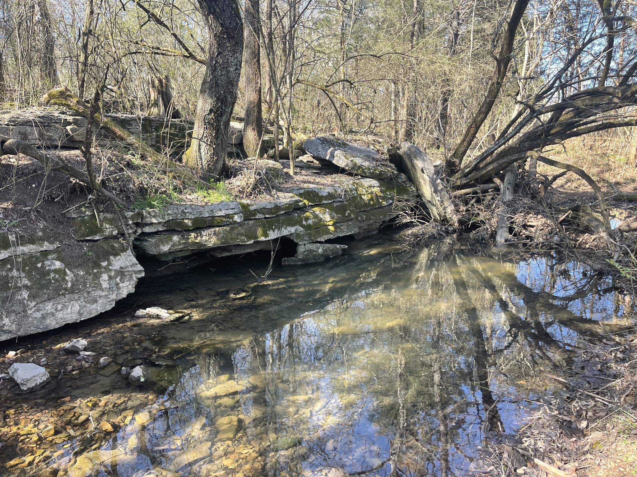 2520 Brown Shop Road Petersburg, TN 37144 - Photo 2 of 30 a view of lake