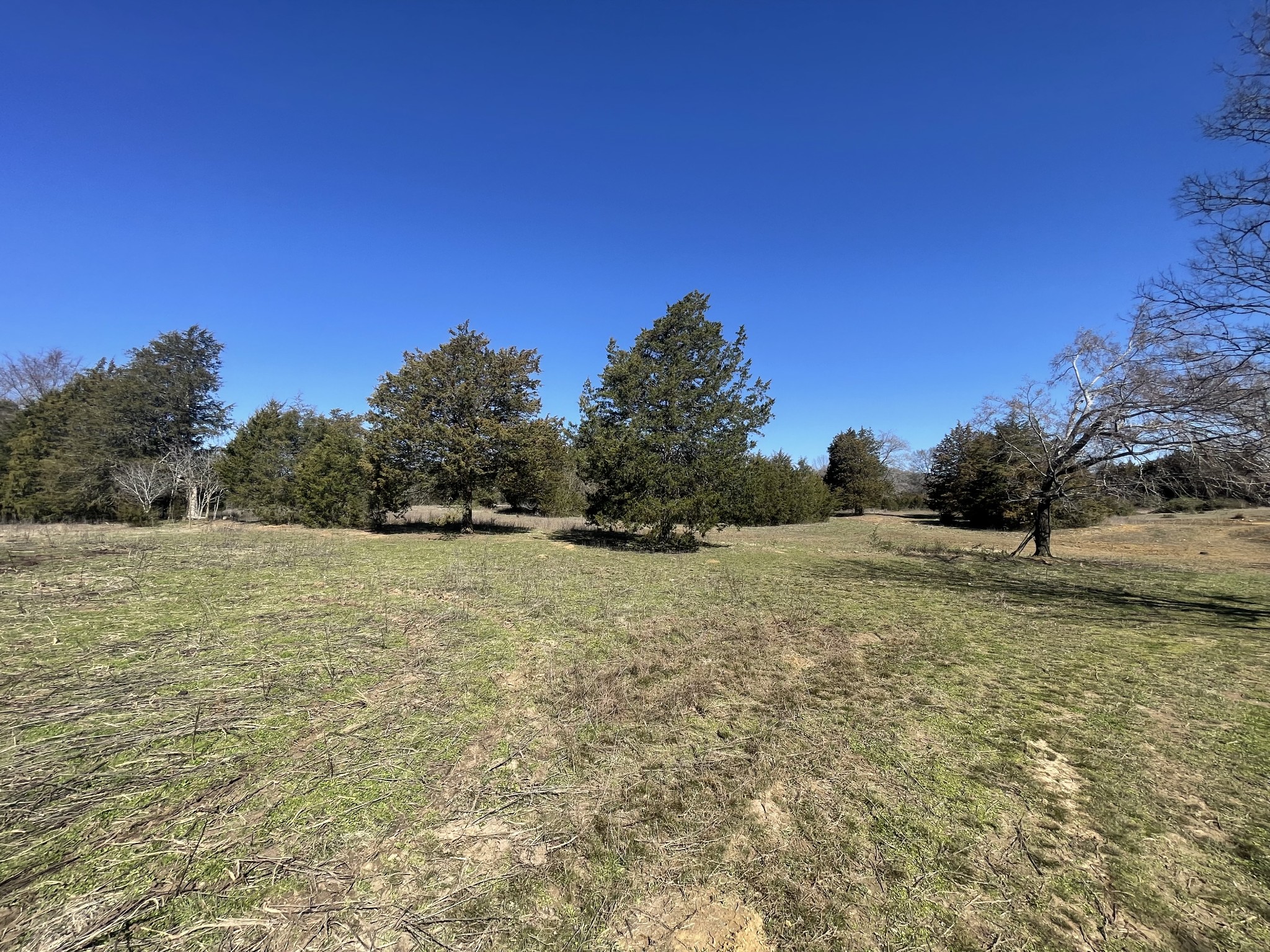2520 Brown Shop Road Petersburg, TN 37144 - Photo 22 of 30 a view of a field with trees in background