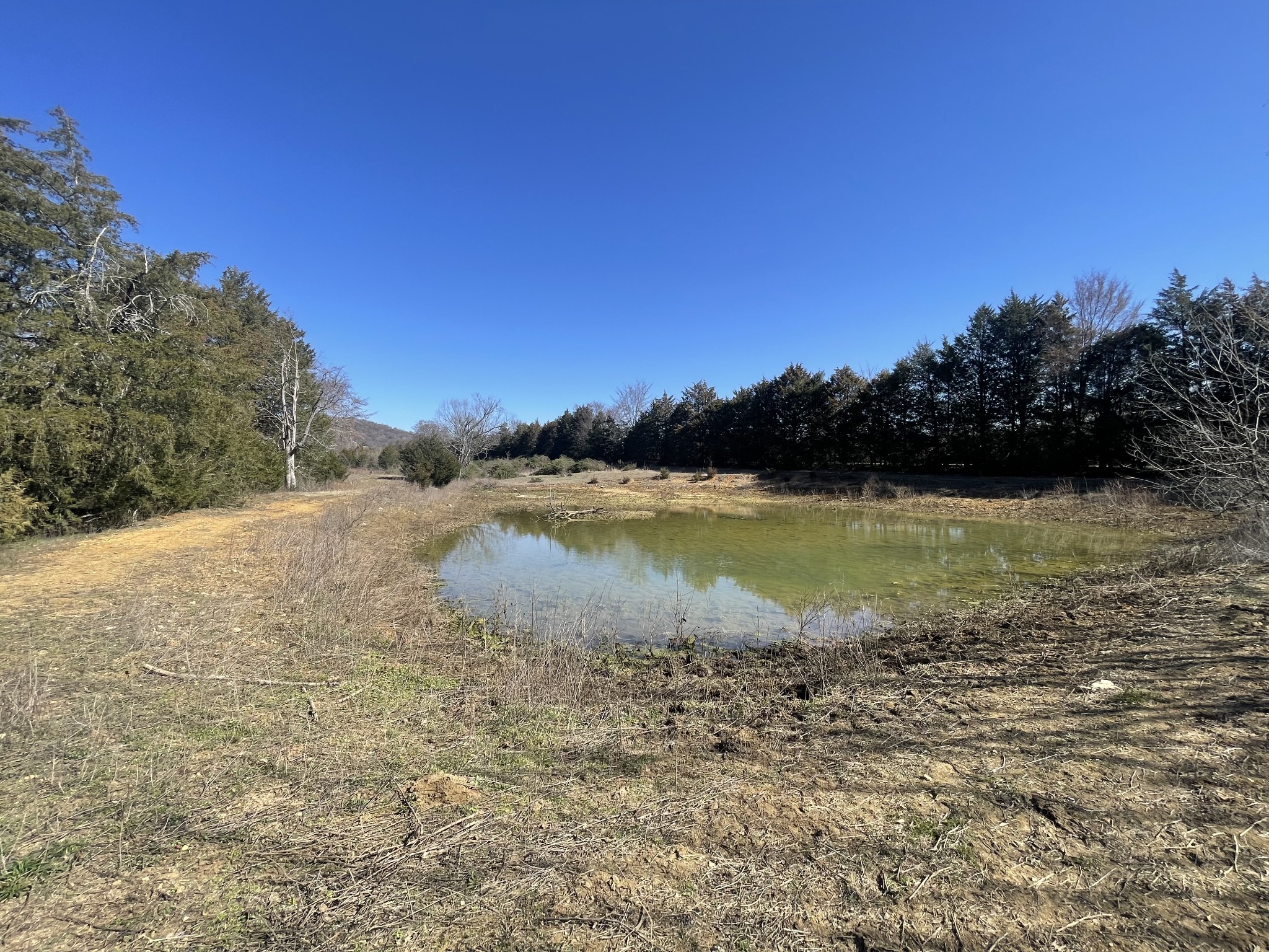 2520 Brown Shop Road Petersburg, TN 37144 - Photo 23 of 30 a view of a lake view