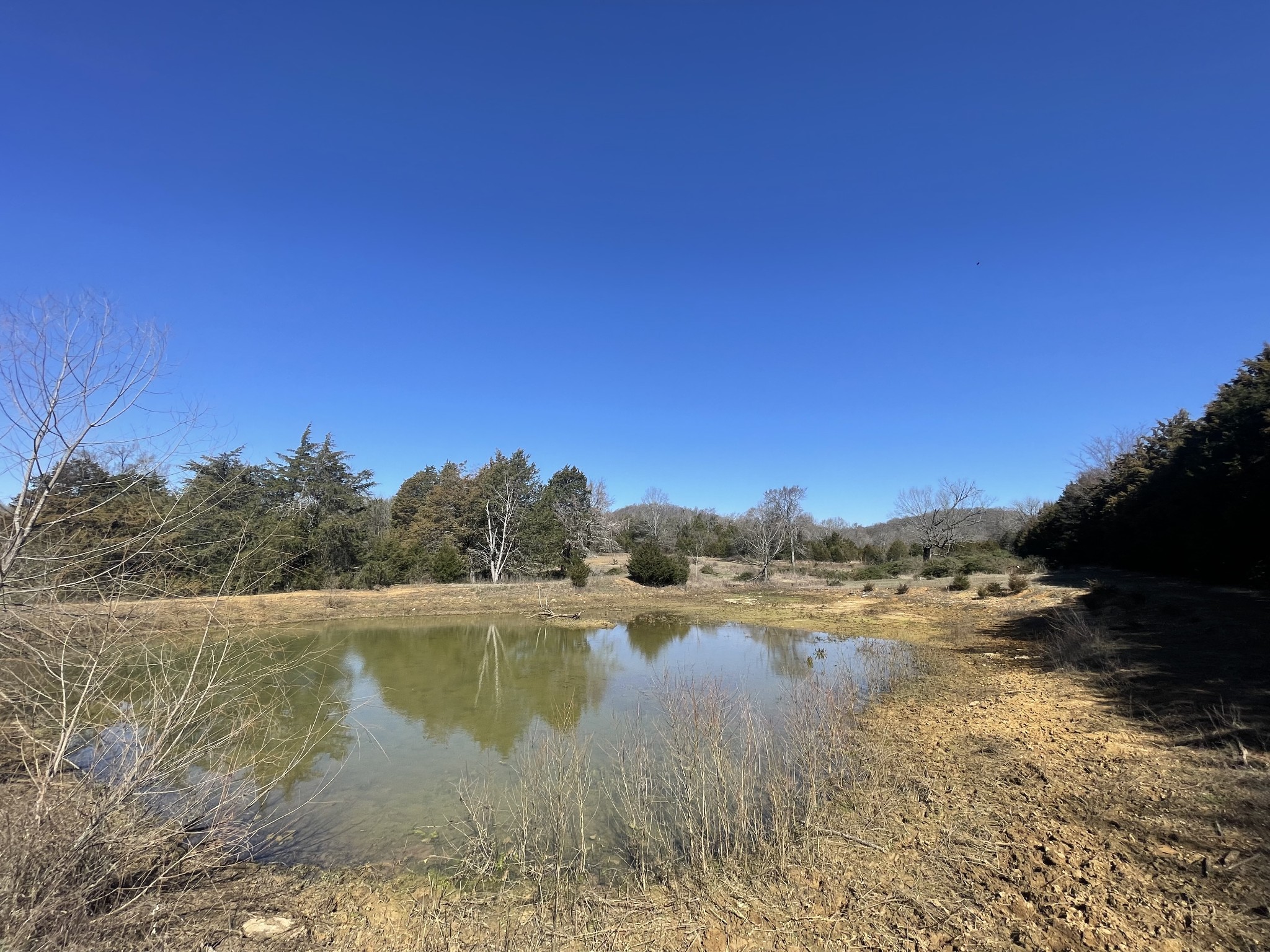 2520 Brown Shop Road Petersburg, TN 37144 - Photo 24 of 30 a view of lake with green space