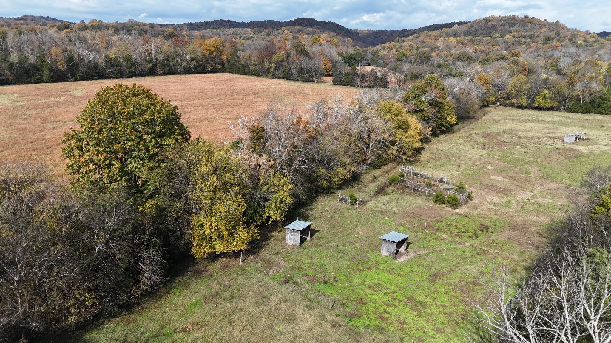 2520 Brown Shop Road Petersburg, TN 37144 - Photo 6 of 30 a view of an outdoor space and a yard