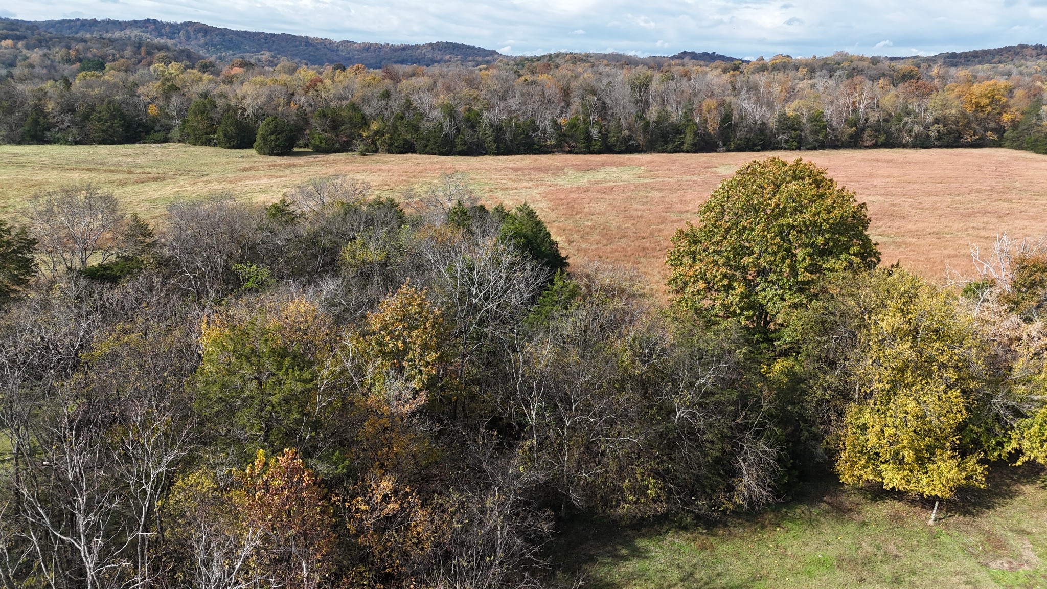 2520 Brown Shop Road Petersburg, TN 37144 - Photo 8 of 30 a view of mountain with a lake