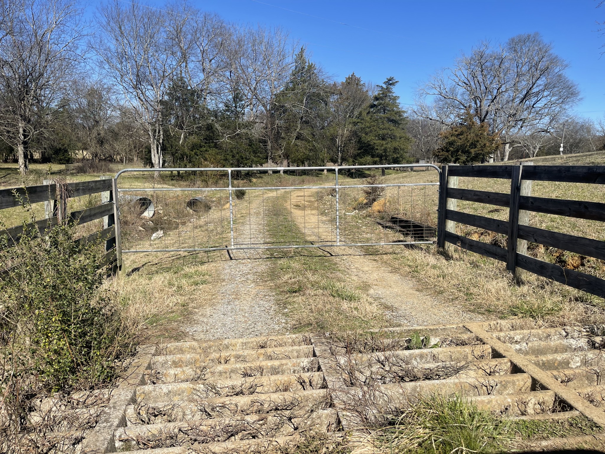 2520 Brown Shop Road Petersburg, TN 37144 - Photo 10 of 30 a view of outdoor space with trees
