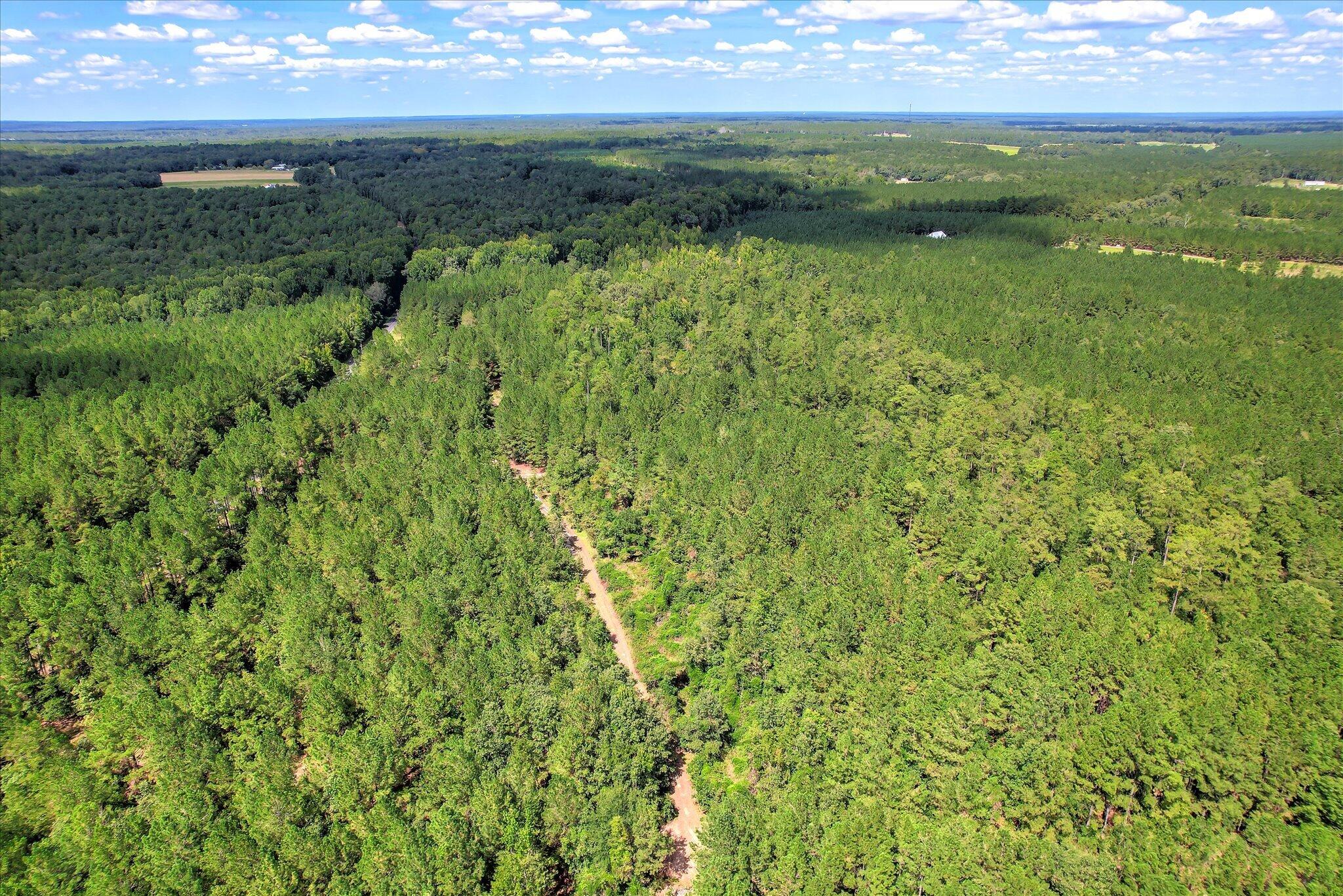 64.68-acre Mt Beulah Road Windsor, SC 29856 - Photo 13 of 20 Gallery Image 13
