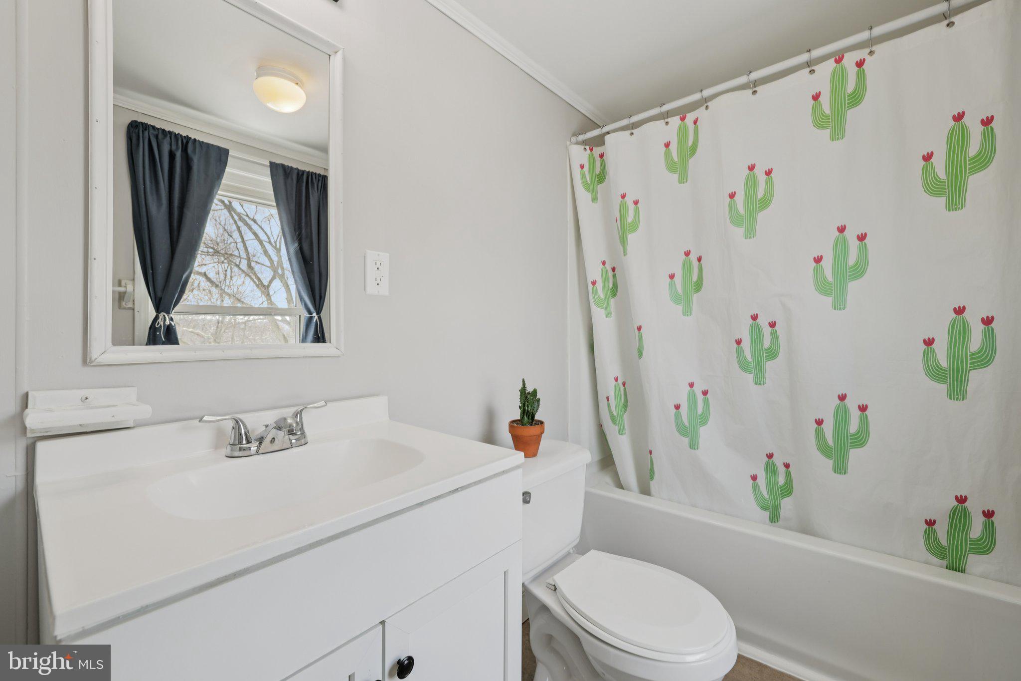519 North Maple Avenue Brunswick, MD 21716 - Photo 18 of 26 a bathroom with a sink toilet and a bathtub