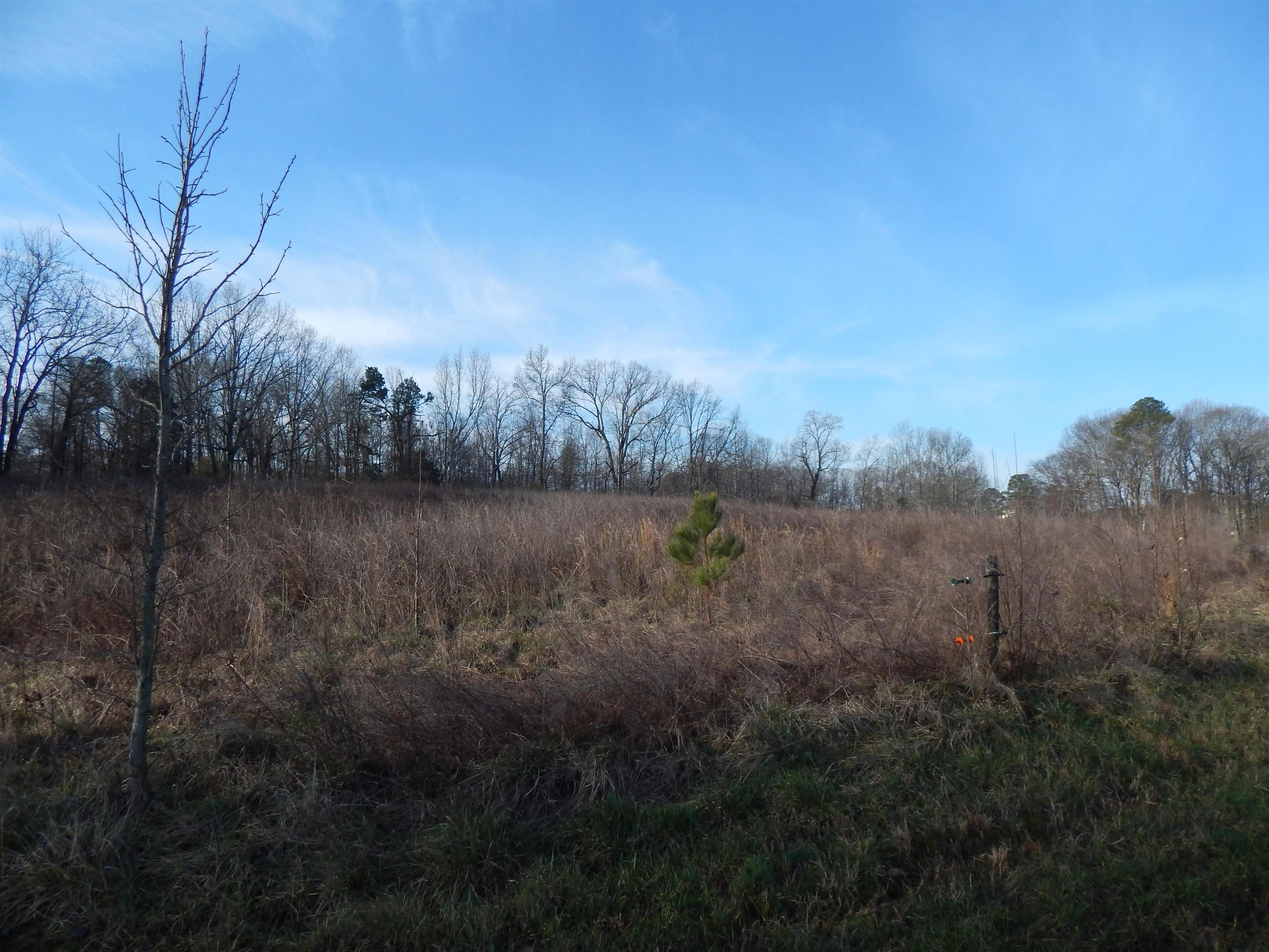 0 Wheeler Road Commerce, GA 30529 - Photo 1 of 1