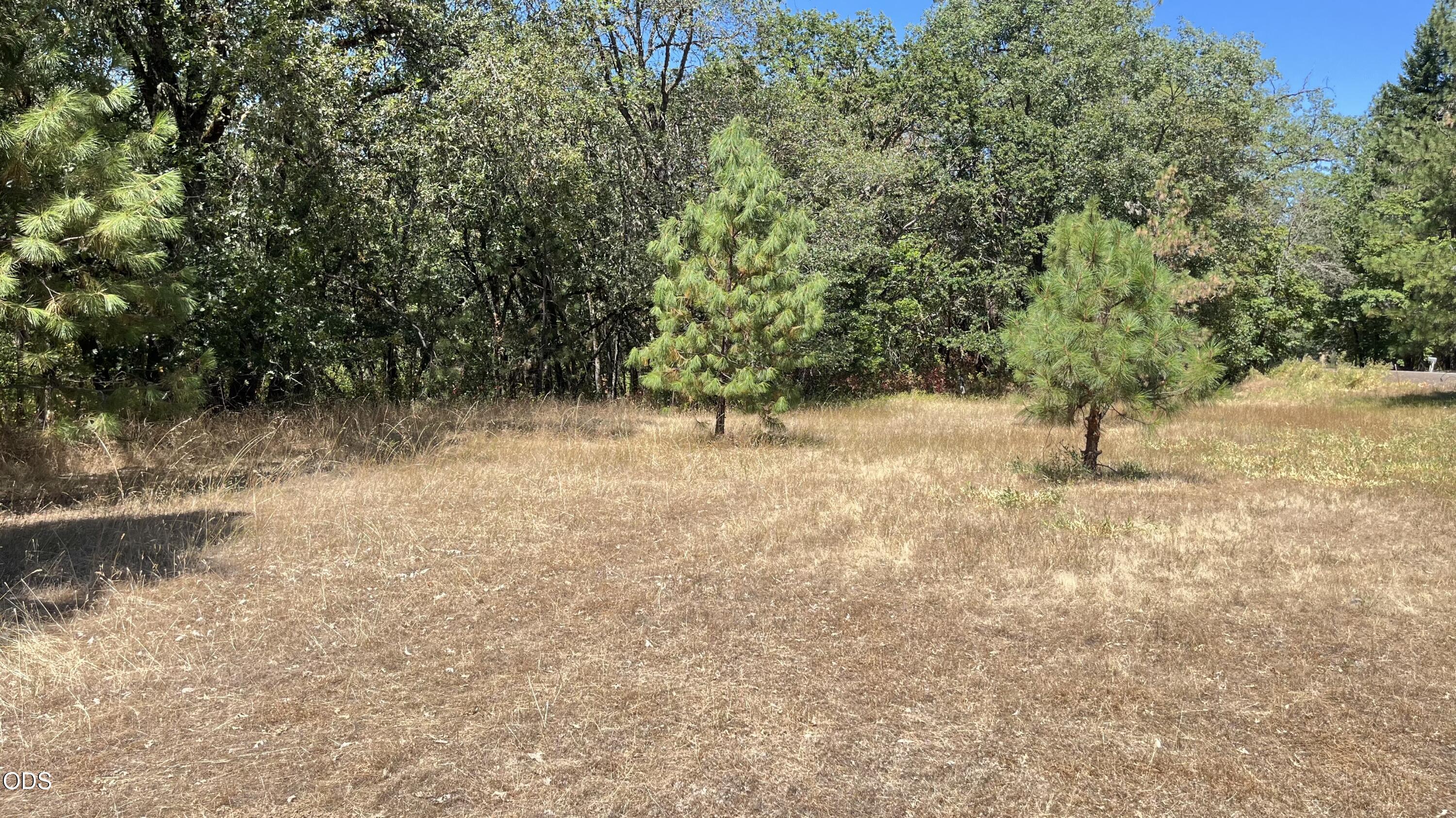 4569 Kane Creek Road Central Point, OR 97502 - Photo 19 of 21 Gallery Image 19