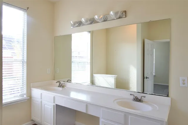a bathroom with a double vanity sink a mirror and a shower