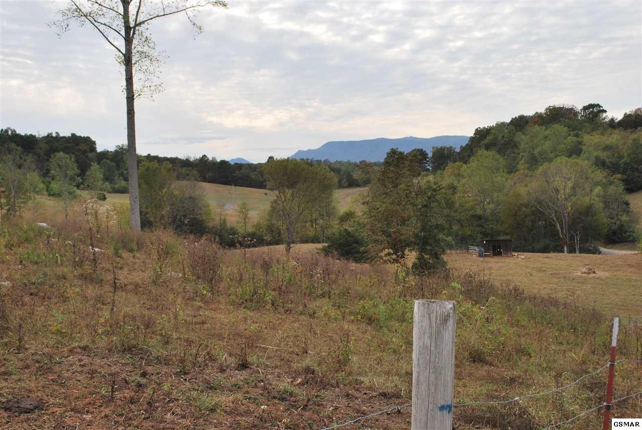 1639 Edwina Bridgeport Road Newport, TN 37821 - Photo 29 of 36 Gallery Image 29