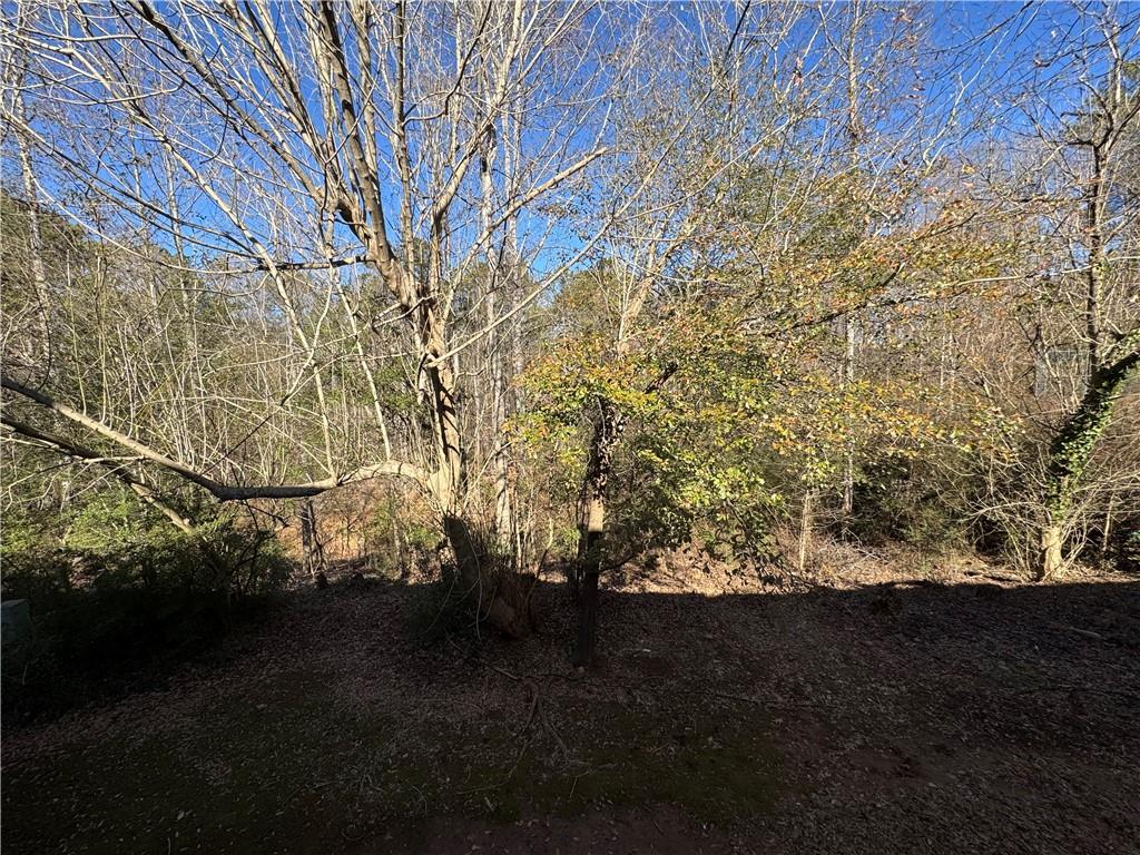 2104 Queen Anne Court Sandy Springs, GA 30350 - Photo 26 of 29 a view of yard