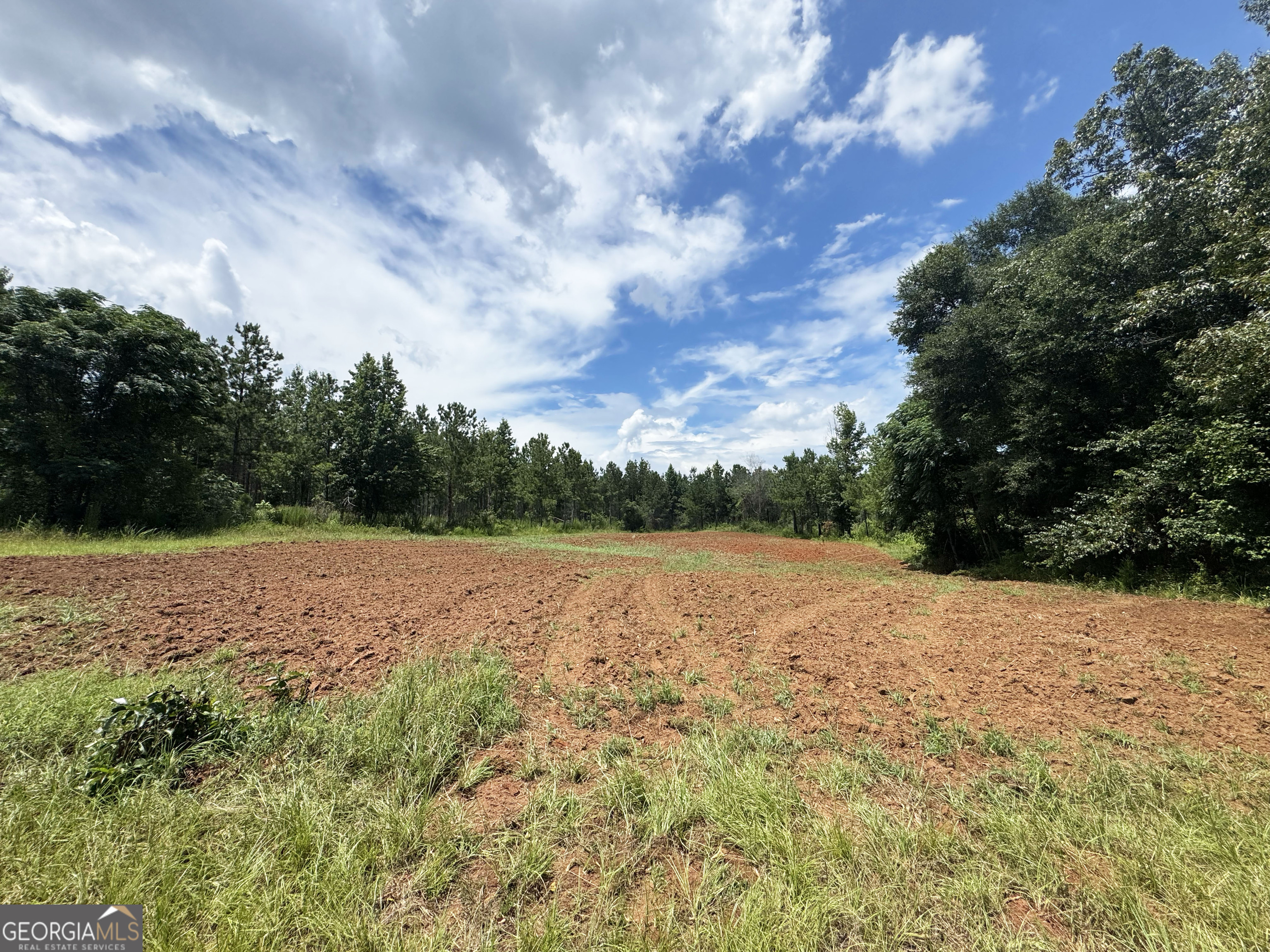 4066 Green Grove Road Lumpkin, GA 31815 - Photo 8 of 48 Gallery Image 8