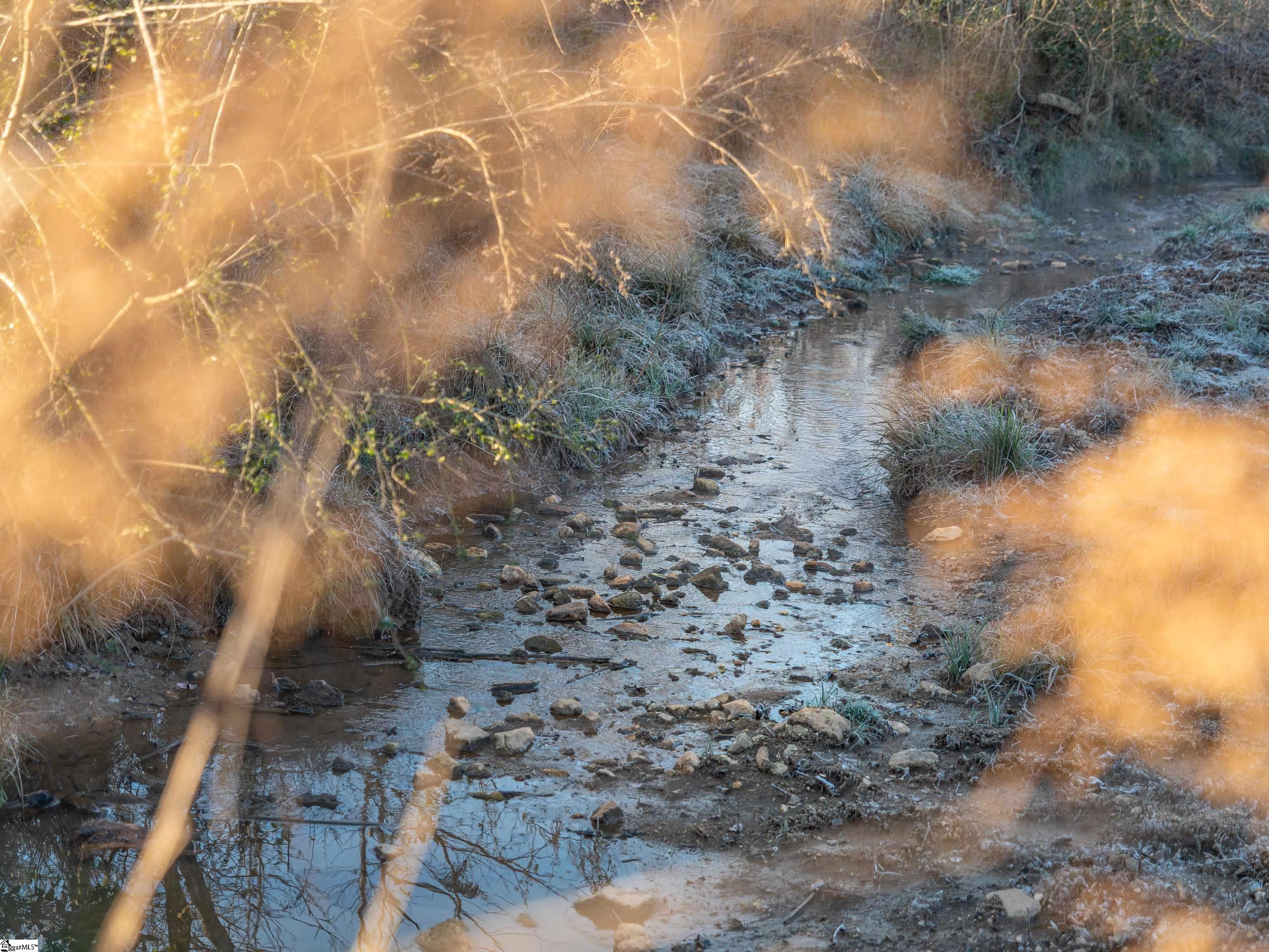 501 A Cherokee Road Pelzer, SC 29669 - Photo 22 of 25