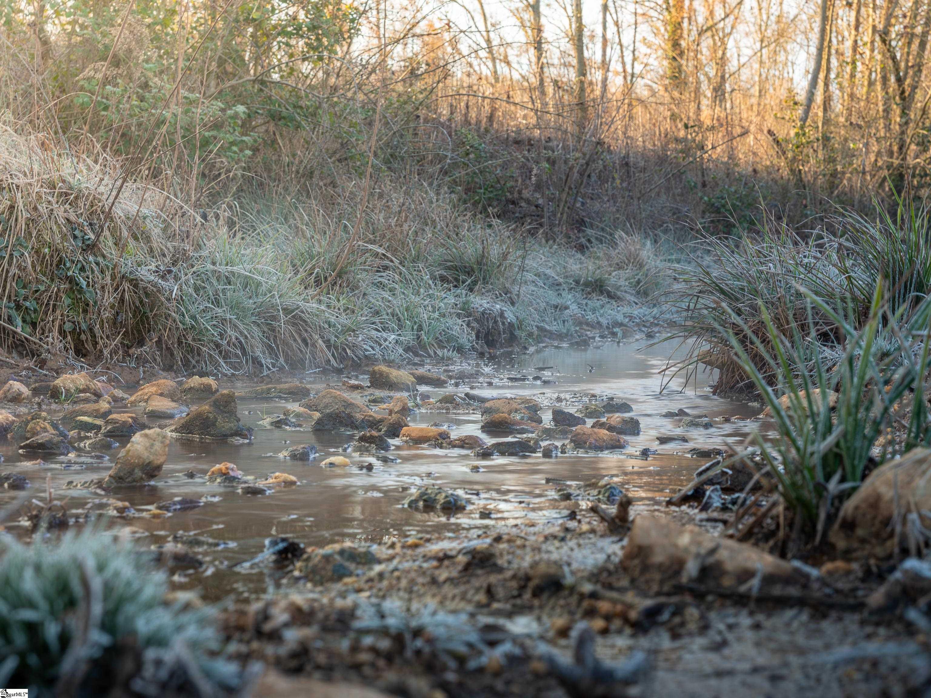501 A Cherokee Road Pelzer, SC 29669 - Photo 5 of 25