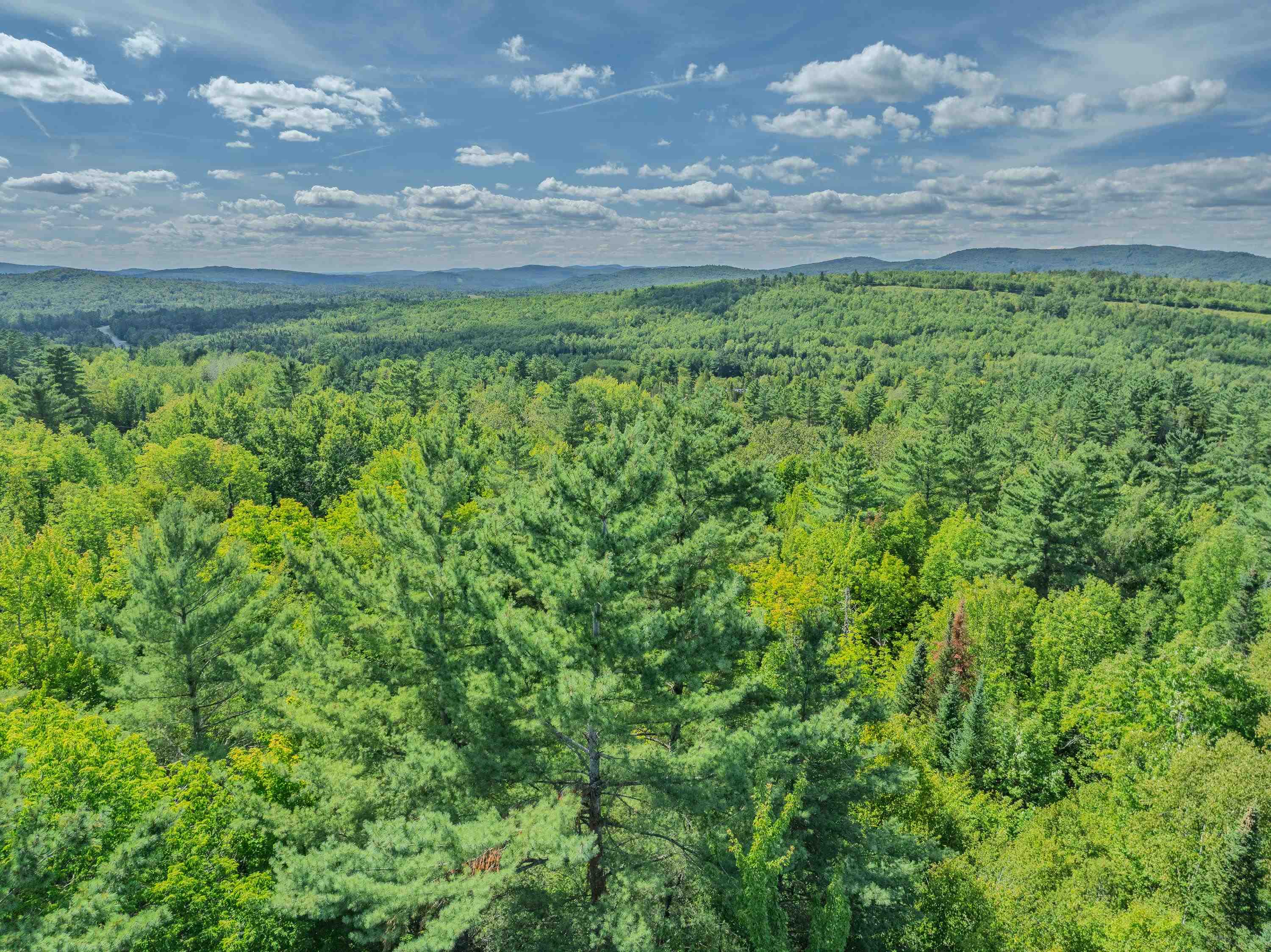 28 Gould Road Whitefield, NH 03598 - Photo 11 of 14