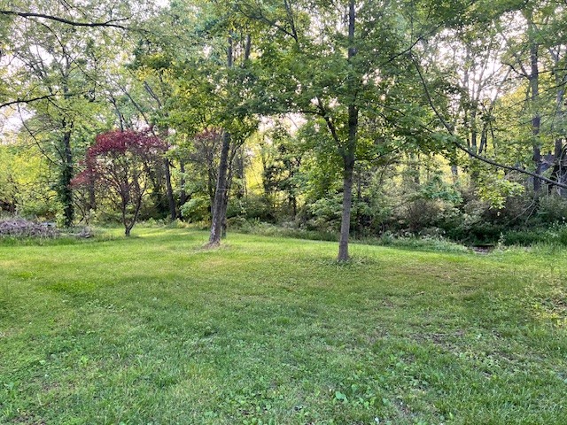698 Clearview Road Cottontown, TN 37048 - Photo 5 of 23 a green field with lots of trees