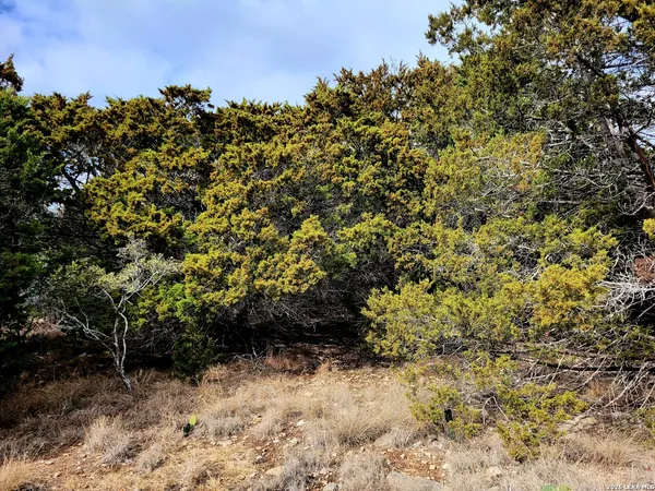 $94,000 | 2066 Stallion Springs Drive, Fischer, TX 78623