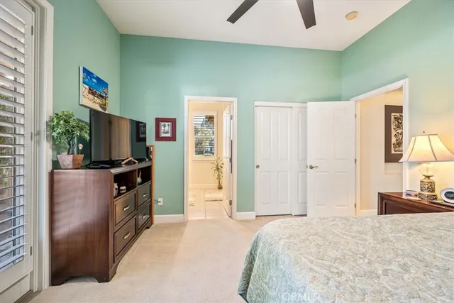 a view of a backyard with couches plants and large tree
