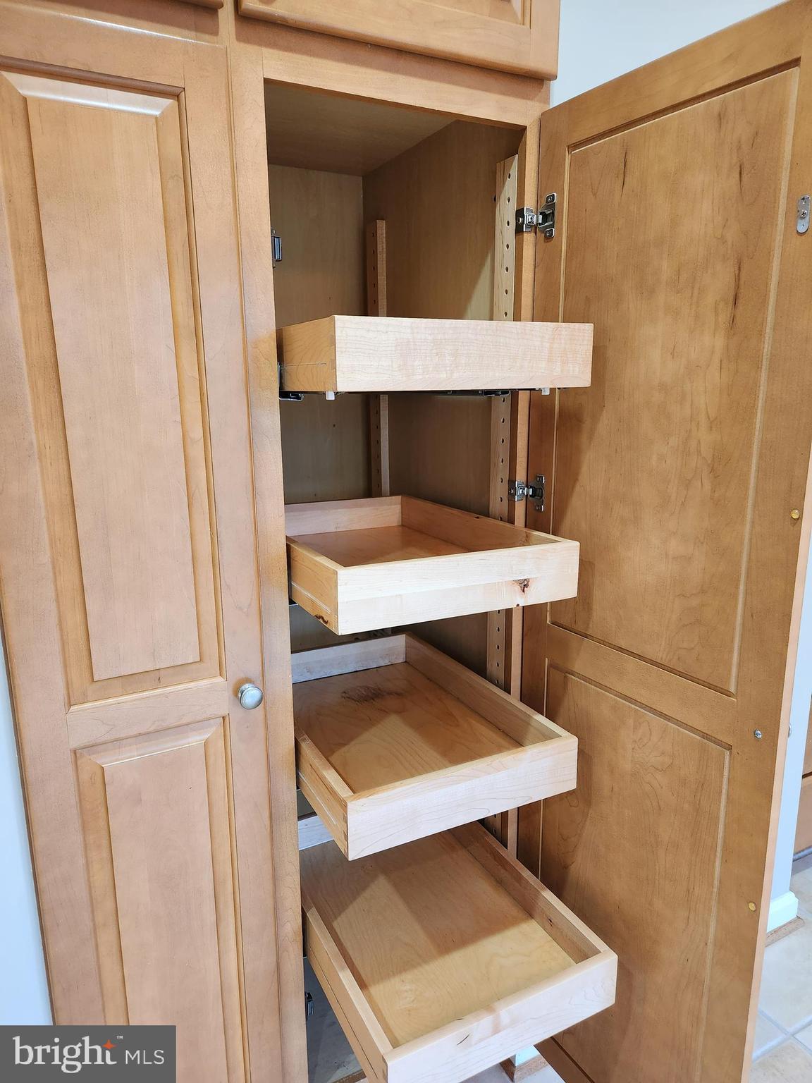 8230 Riverside Road Alexandria, VA 22308 - Photo 15 of 49 High quality cabinets, sliding shelves