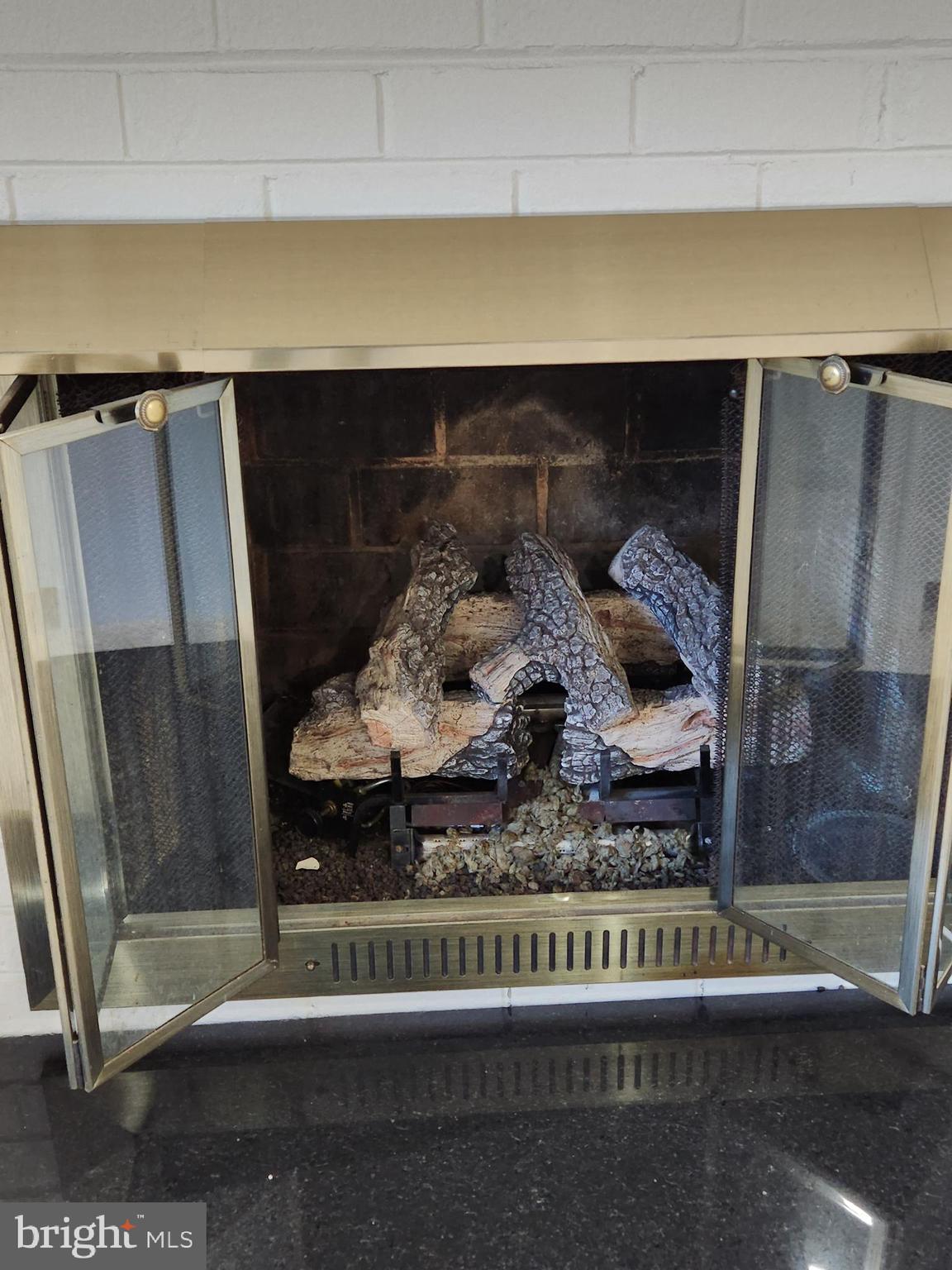 8230 Riverside Road Alexandria, VA 22308 - Photo 36 of 49 Family room fireplace