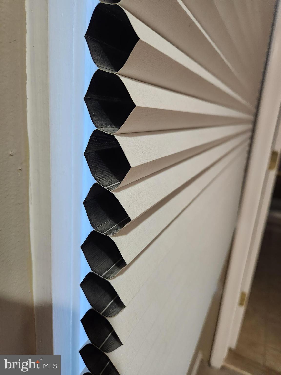 8230 Riverside Road Alexandria, VA 22308 - Photo 39 of 49 Black out shades in all bedrooms