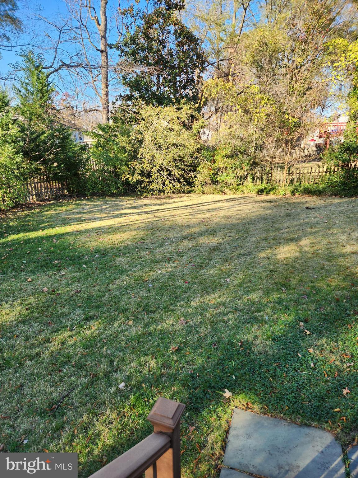 8230 Riverside Road Alexandria, VA 22308 - Photo 46 of 49 Large flat lot surrounded by lovely mature trees