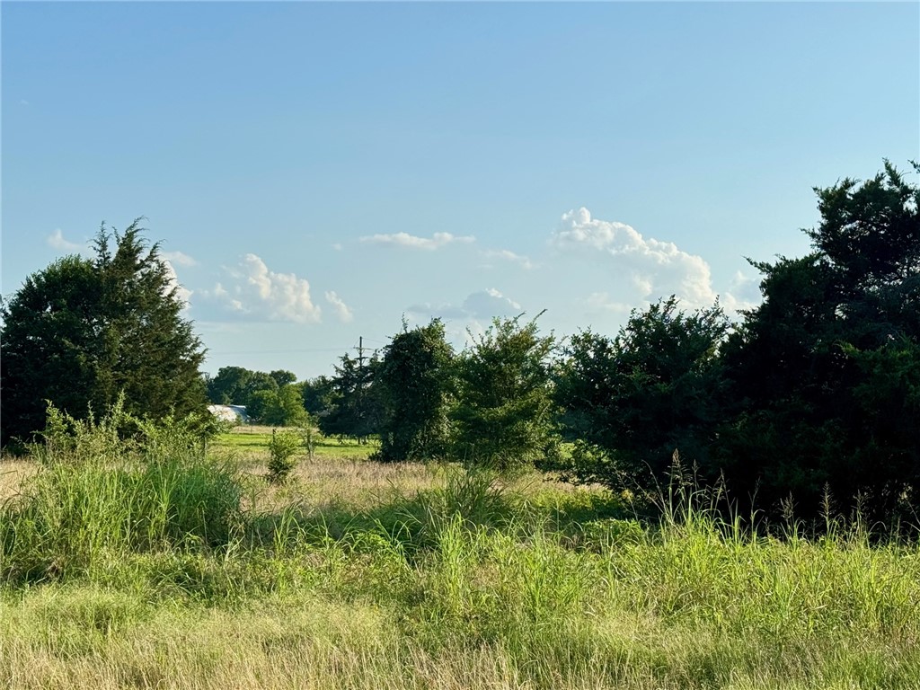 6 And Cooper Lane Calvert, TX 77837 - Photo 12 of 19